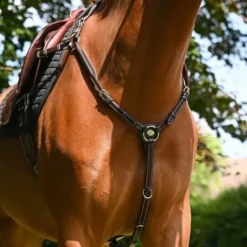 Sale Collier de chasse Wednesday - Collection Week - Enrênements·Collier De Chasse