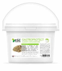 Outlet Complément alimentaire GASTRO PROTEC Estomac - LABORATOIRE Appareil Digestif·Flore Intestinale|Appareil Digestif·Stress Gastrique