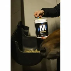 Sale Complément alimentaire M POWER - Forme Et Performances·Booster Cheval