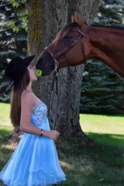 New Convertisseur de bride de muserolle sans mors Bridons Et Brides·Filet Sans Mors