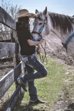 New Convertisseur de bride de muserolle sans mors Bridons Et Brides·Filet Sans Mors