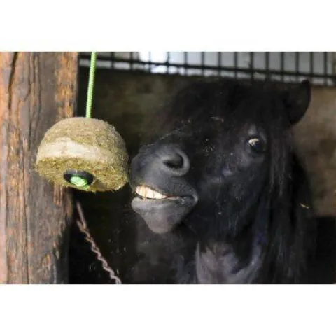 Outlet Corde pour bloc de foin Aménagement De L'Écurie·Jouets Pour Chevaux