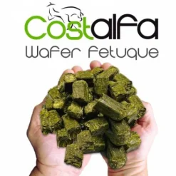 Discount Wafer Fetuque 20 kgs Fourrages·Foin