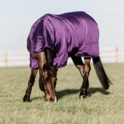 Online Couverture All Weather imperméable pro 160gr - Kentucky Couvertures Cheval