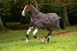 Discount Couverture Bravo 12 plus 100g - Horseware - extérieur Couvertures Cheval