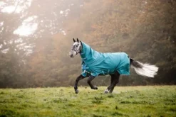 Discount Couverture Bravo 12 plus 100g - Horseware - extérieur Couvertures Cheval