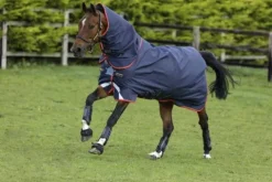 Discount Couverture Bravo 12 plus 100g - Horseware - extérieur Couvertures Cheval