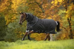 New Couverture Bravo 12 plus 250g - Horseware - imperméable Couvertures Cheval