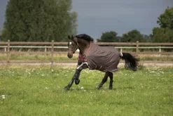 Hot Couverture Bravo 12T - Horseware - 1200d imperméable Couvertures Cheval