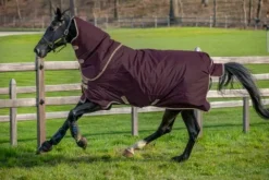 New Couverture Hero ripstop plus lite 0g - Horseware - extérieur imperméable Couvertures Cheval