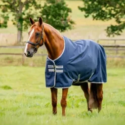 Online Couverture AMIGO Ripstop 900D Turnout 200g - - Confort et protection Couvertures Cheval