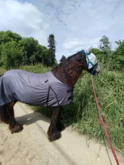 New Couverture anti mouche avec couvre cou Chemises Anti-Mouches|Chemises Cheval