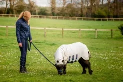 Clearance Couverture anti-insectes Petite Ripstop Hoody - Horseware - Protection UV Chemises Anti-Mouches|Chemises Cheval