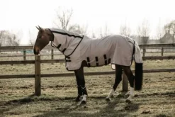 Discount Couverture Anti-mouches - Kentucky Chemises Anti-Mouches|Chemises Cheval