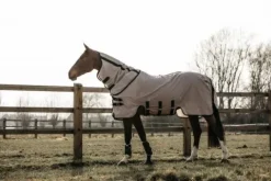 Discount Couverture Anti-mouches - Kentucky Chemises Anti-Mouches|Chemises Cheval