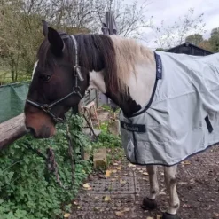 Outlet Couverture Power Turnout Light Bigneck Couvertures Cheval