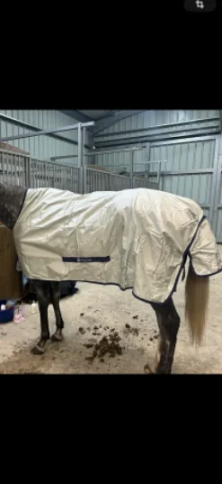 Clearance Couverture thermoregulante Couvertures Cheval
