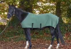 Clearance Couverture Coton Classique Chemises Cheval