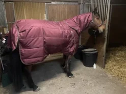 Discount Couverture écurie 350g avec couvre cou Couvertures Cheval