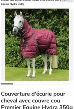 Discount Couverture écurie 350g avec couvre cou Couvertures Cheval