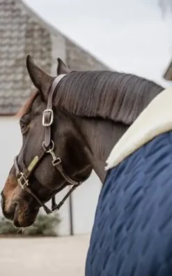 New Couverture d'écurie Comfort 200g - Kentucky Couvertures Cheval