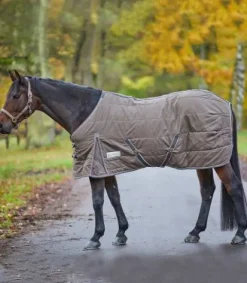 Sale Couverture d'écurie Economic 100G - Couvertures Cheval