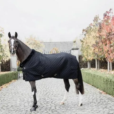Couverture d'écurie 0gr - Kentucky Couvertures Cheval
