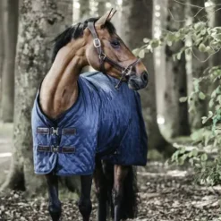 Hot Couverture d'écurie 200gr - Kentucky Couvertures Cheval