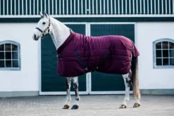Discount Couverture d'écurie cosy stable 250g - Horseware Couvertures Cheval