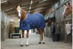 Discount Couverture de box 300 gr - Couvertures Cheval