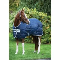 Clearance Couverture de box Amigo Insulator - Couvertures Cheval