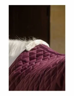 Best Couverture de box Romance 200g Couvertures Cheval