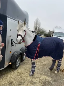 New Couverture de box Pénélope poney Couvertures Cheval