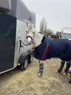 New Couverture de box Pénélope poney Couvertures Cheval