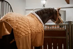 Online Couverture de boxe Zeta 150 Platinum 2023 - Couvertures Cheval