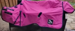 Couverture de paddock Rose Couvertures Cheval