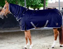 Clearance Couverture de paddock avec couvre cou amovible Couvertures Cheval