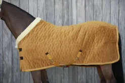 Clearance Couverture de présentation Velvet 160g Kentucky - Couvertures Cheval