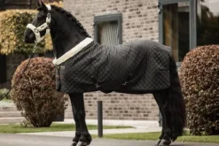 Hot Couverture de présentation 160 g - Kentucky Couvertures Cheval