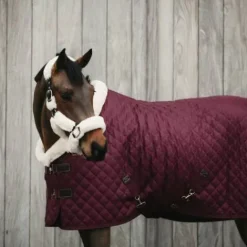Hot Couverture de présentation 160 g - Kentucky Couvertures Cheval