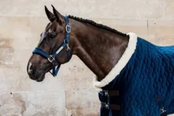 New Couverture de présentation Velvet 160g Kentucky - Couvertures Cheval