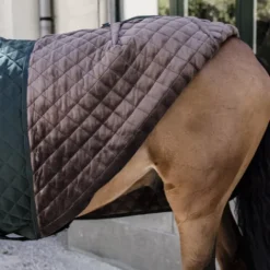 Hot Couverture de présentation 160 g - Kentucky Couvertures Cheval