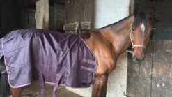 New Couverture d’extérieur ? Couvertures Cheval