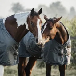 Sale Couverture d'extérieur All Weather imperméable pro 160g - Kentucky Couvertures Cheval