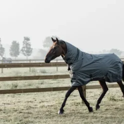 Sale Couverture d'extérieur All Weather imperméable pro 160g - Kentucky Couvertures Cheval