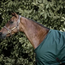 Sale Couverture d'extérieur All Weather imperméable pro 160g - Kentucky Couvertures Cheval