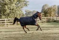 Hot Couverture d'extérieur All Weather imperméable Classic 0g - Kentucky Couvertures Cheval