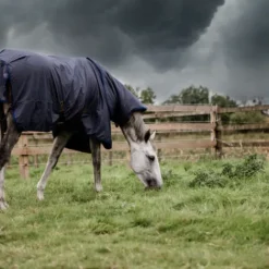 New Couverture d'extérieur All Weather Hurricane 0 gr - Kentucky Couvertures Cheval