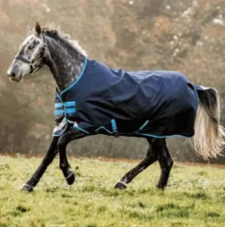 New Couverture d'extérieur Bravo 12 Turnout 100g  - HORSWARE Couvertures Cheval