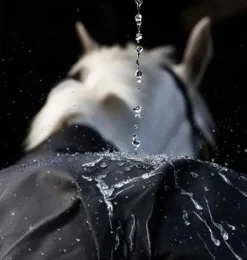 New Couverture d'extérieur Bravo 12 Turnout 100g  - HORSWARE Couvertures Cheval